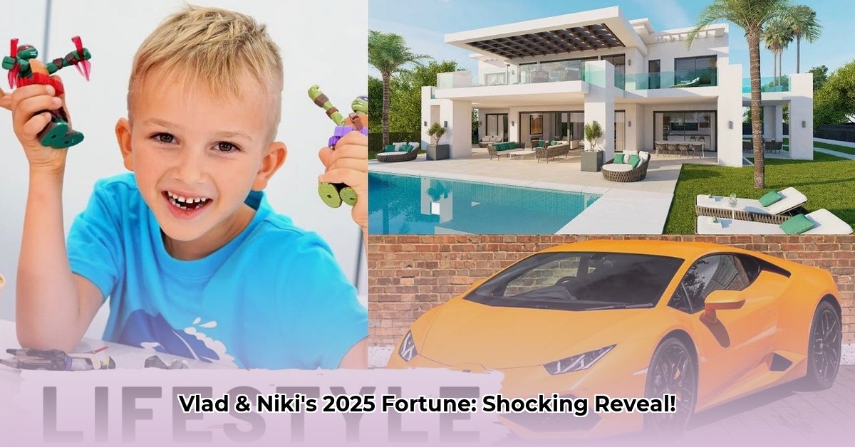 niki-and-vlad-net-worth